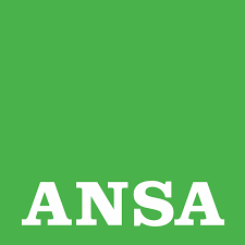 ansa ansa